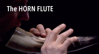Horn flute