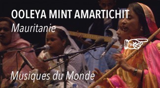 Concert Ooleya Mint Amartichitt